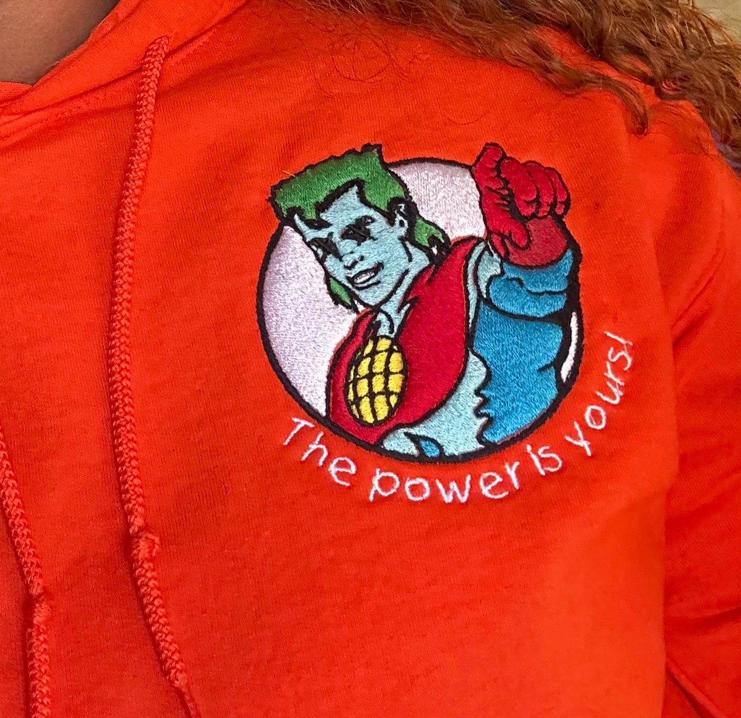 Captain Planet Embroidered Hoodie